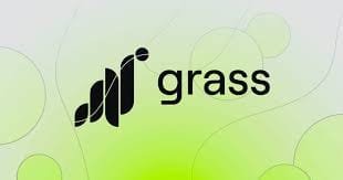 Logo Grass DePIN - Ganar cripto con ancho de banda